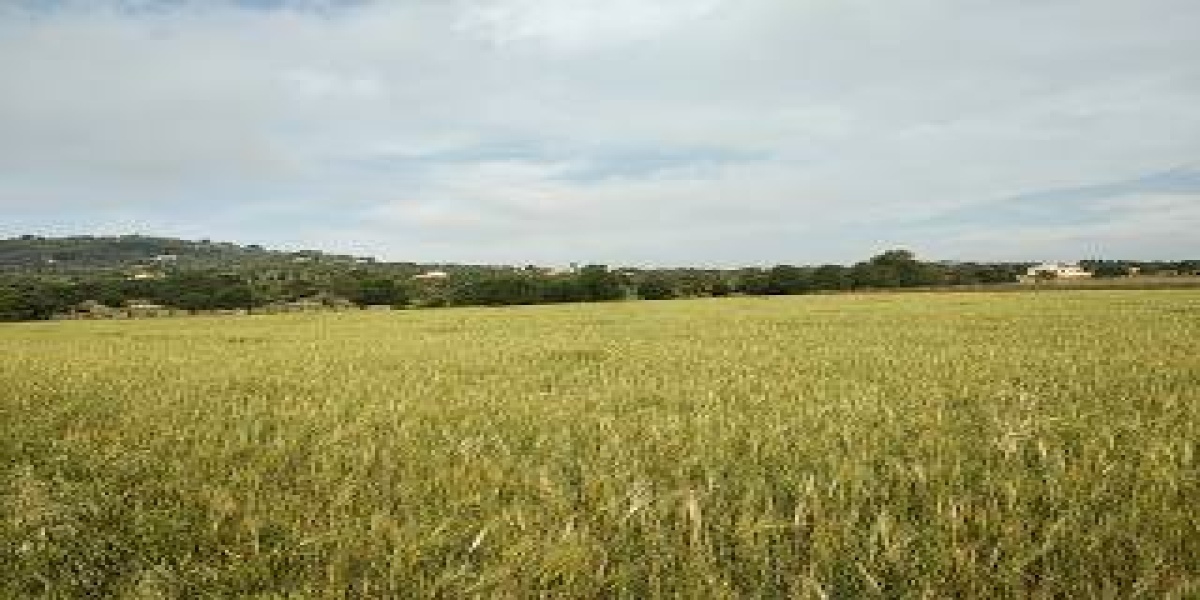 Manacor, baleares, Islas Baleares, España 07500, ,Terreno,En venta,3938