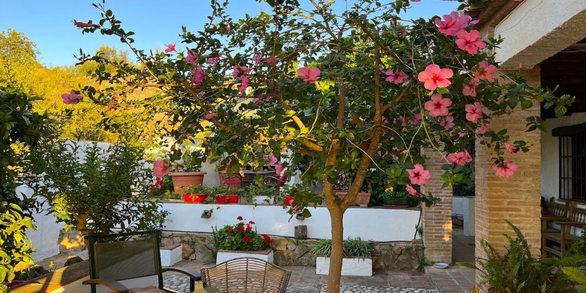 Alcaucín, Malaga, Andalucia, Spain 29711, 3 Bedrooms Bedrooms,1 BathroomBathrooms,House/Cottage,Vacation Rental,4024