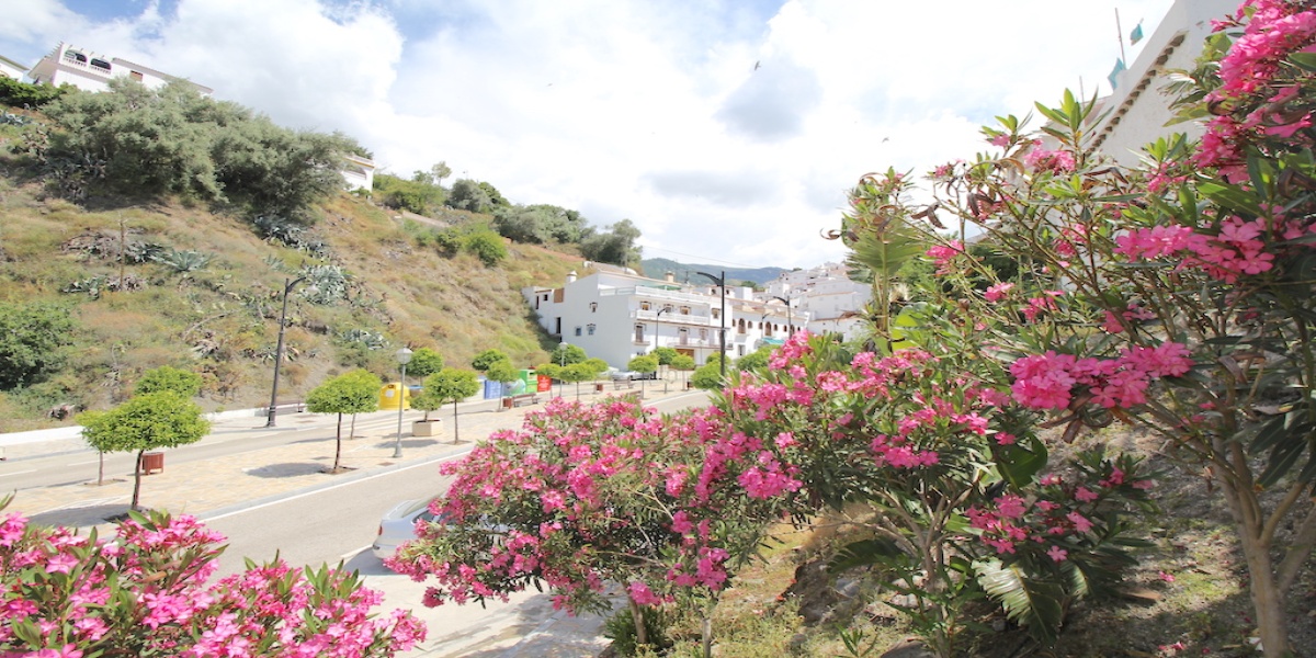 Calle del Arroyo, Salares, Malaga, Andalousie, Espagne 29714, 2 Stanze da Letto Stanze da Letto, ,3 BagniBagni,Casa/Villetta,In affitto,Calle del Arroyo,4063